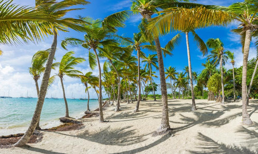 Tropical French Island Wall Mural