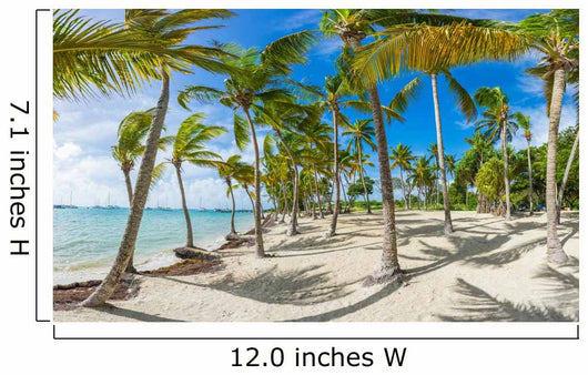 Tropical French Island Wall Mural