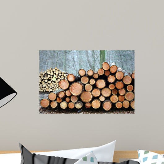 Wood in the Forest Wall Mural