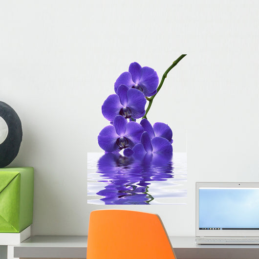 Orchid Wall Decal