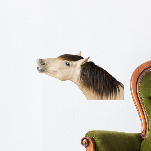 Talkative Horse Wall Decal