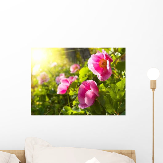 Peony Flowers Wall Decal