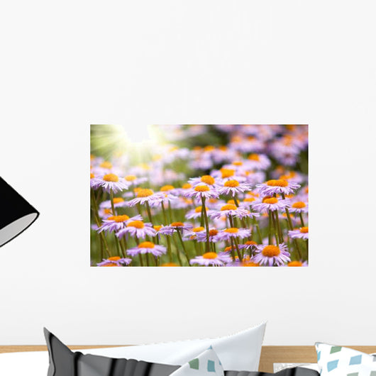 Field Wild Violet Flowers Wall Decal