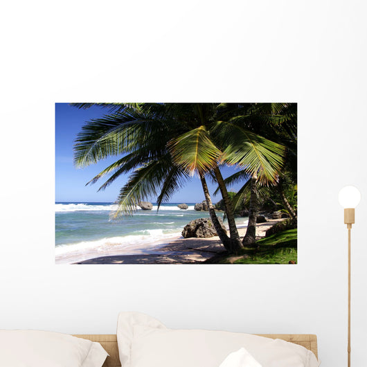 Shadow on the Beach Wall Mural