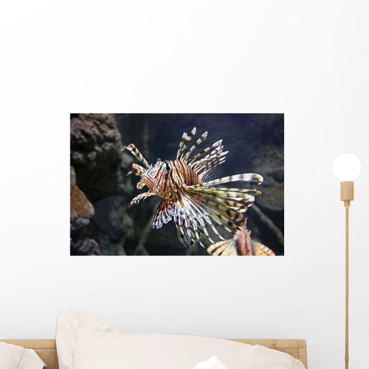 Lion Fish Wall Decal Design 1