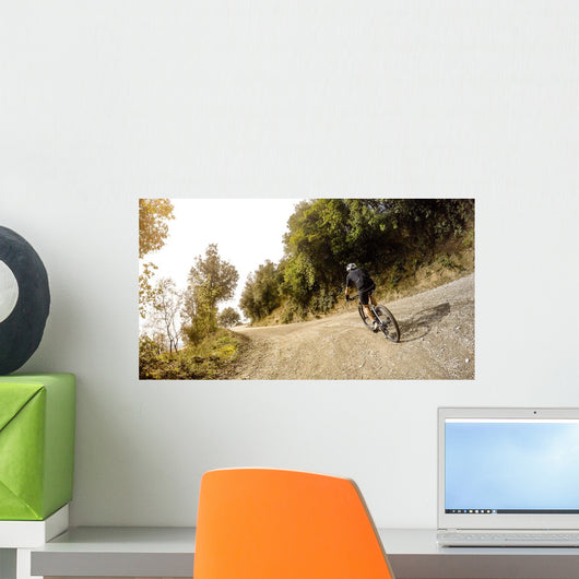 ciclista pedala lungo una strada di montagna al tramonto Wall Mural