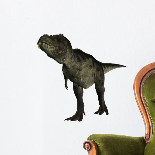Tyrannosaurus Rex Dinosaurs Wall Decal