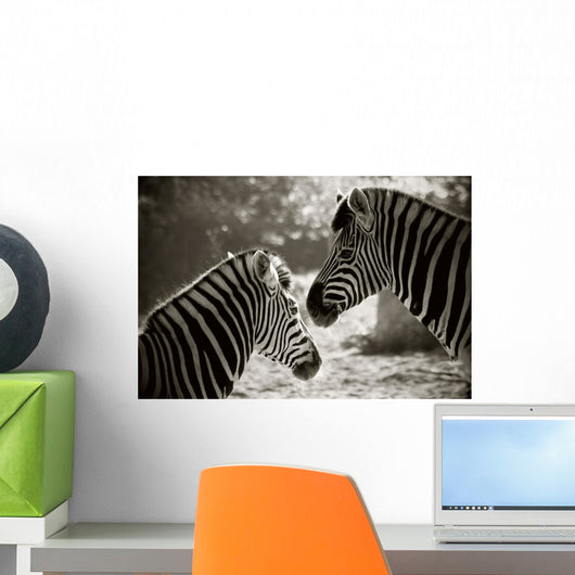 Portrait of to Zebras Sepia Look Wall Mural