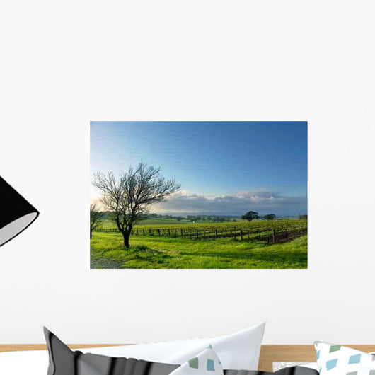 Vineyard Landscape Wall Decal