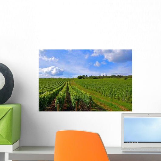 Vines Wall Decal