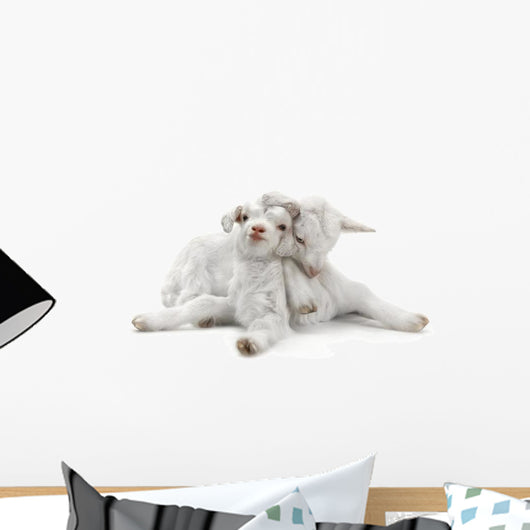 two goat Wall Decal