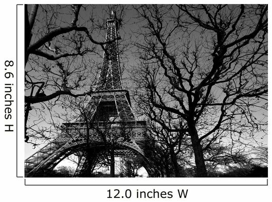 Tour Eilffel Wall Mural