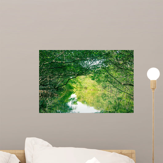 Nature Eco-tourism image of Mangroves at Everglades National Park in Florida USA Wall Mural
