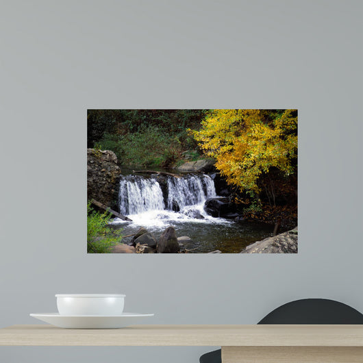 Autumn Falls Wall Mural