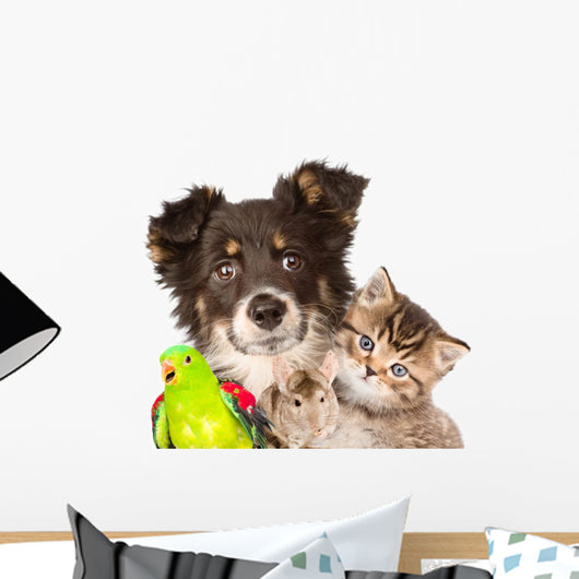 Group of animals closeup. isolated on white background Wall Decal