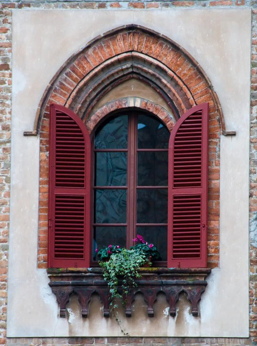 The Window Wall Mural