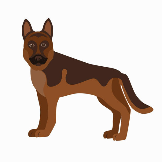 Flat german shepherd pet illustration. Wall Decal