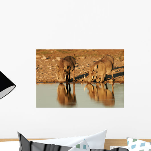 Animal Murals - Warthogs Drinking Wall Mural