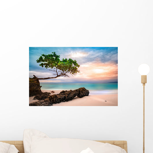 Exotic seascape with sea grape trees leaning above a rocky Caribbean beach at sunset, in Cayo Levantado, Dominican Republic Wall Mural