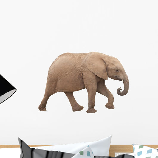 Elephant Isolated on White Background Wall Decal