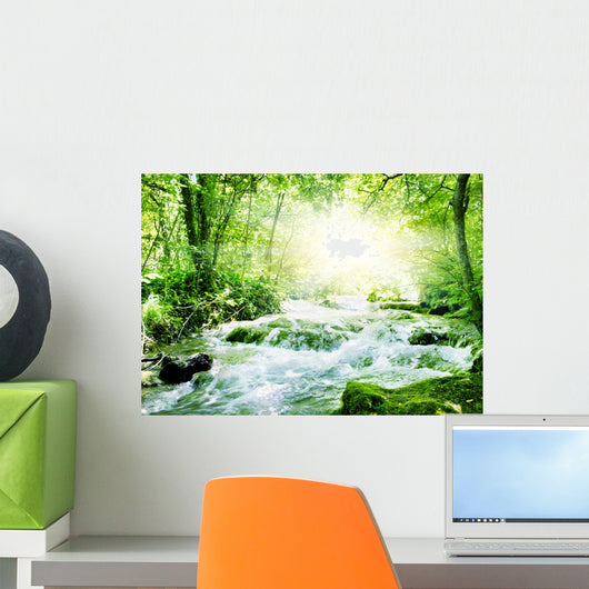 Sunshine in a forest Wall Mural