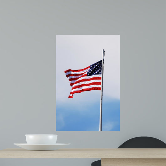 American Flag Wall Mural