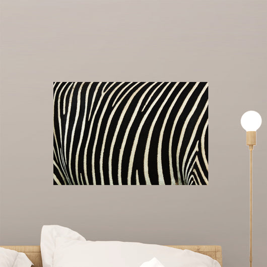Zebra Stripes Wall Decal