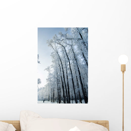 Trees Mantled with Rime Wall Mural