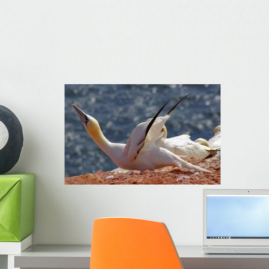Heligoland German Island Birds Wall Decal