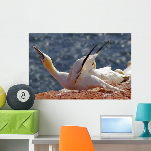 Heligoland German Island Birds Wall Decal