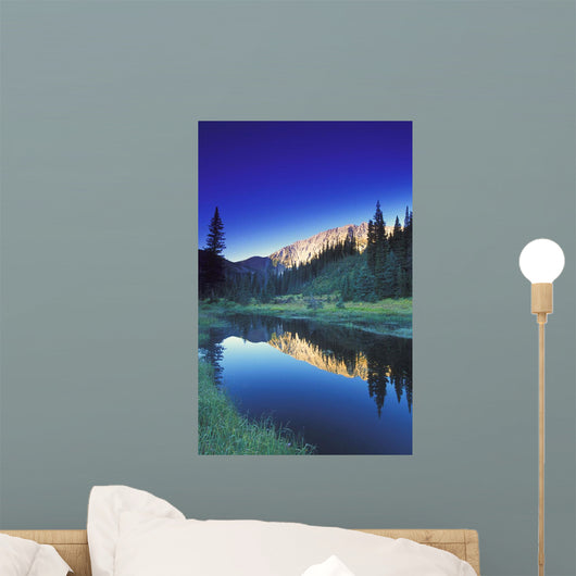 Small Calm Mountain Creek, Kootenays, British Columbia, Canada Wall Mural