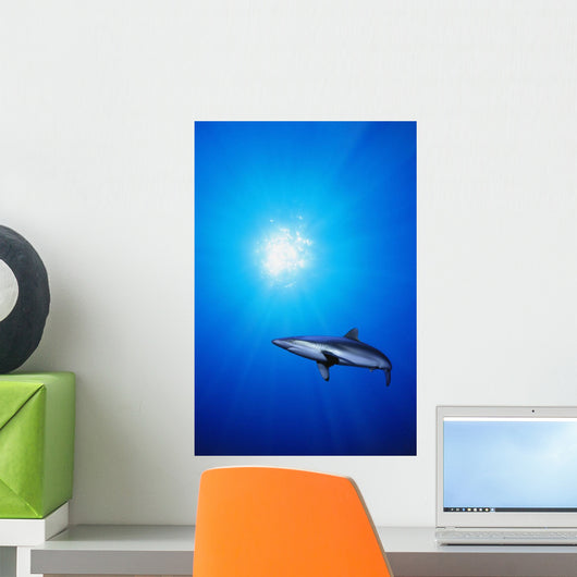 Lone Shark Illuminated Underwater Wall Decal