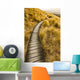 Gold Roast Wall Decal