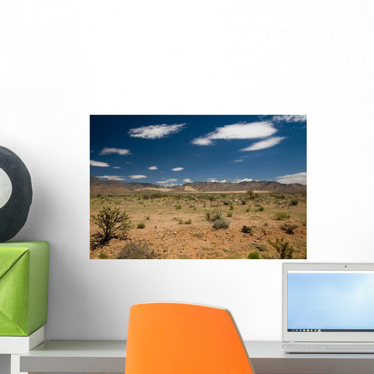 Mountain Scape in the Mojave Desert Wall Mural