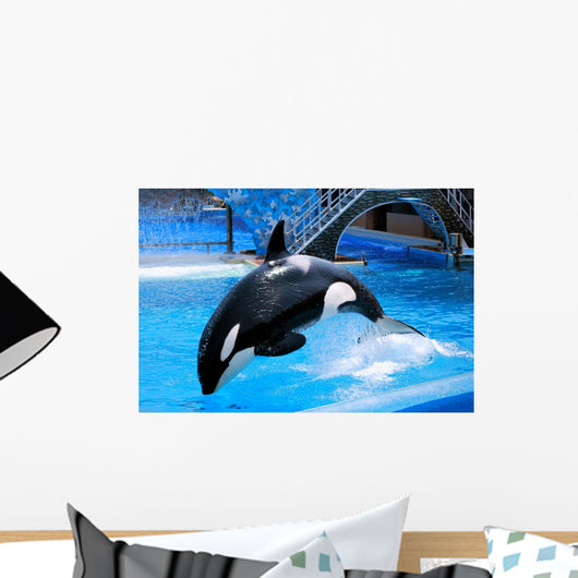 Jumping Killer Whale Wall Mural