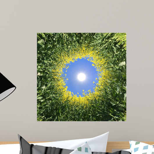 Sonne im Raps Wall Mural