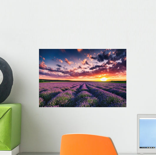 Lavender Flower Blooming Fields Wall Decal