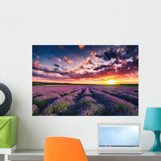 Lavender Flower Blooming Fields Wall Decal