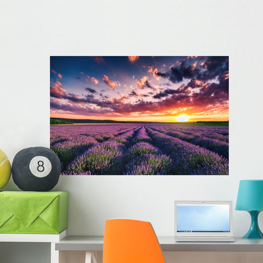 Lavender Flower Blooming Fields Wall Decal