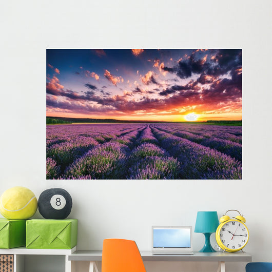 Lavender Flower Blooming Fields Wall Decal