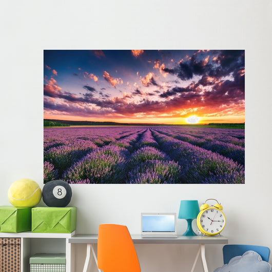 Lavender Flower Blooming Fields Wall Decal