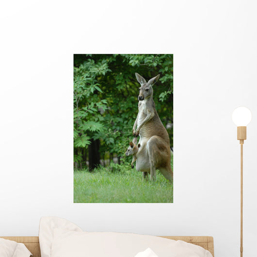 Kangaroo and Company Wall Mural
