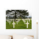 Crosses at American Cemetery in Normandy Wall Mural