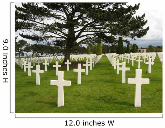 Crosses at American Cemetery in Normandy Wall Mural