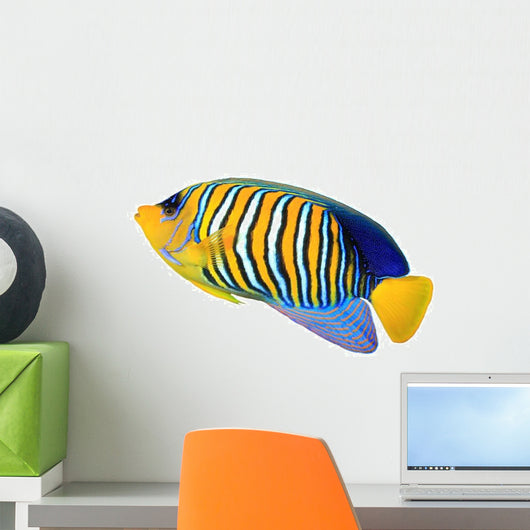 Tropical Regal Angelfish Fish Wall Decal
