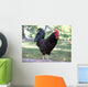 Olympus Digital Camera Wall Mural