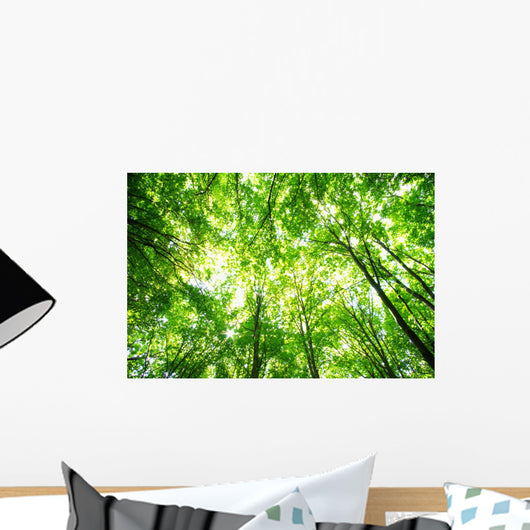 Forest Wall Mural