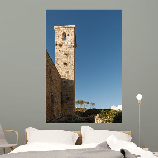 Citadel of Salah Ed-Din. Wall Mural