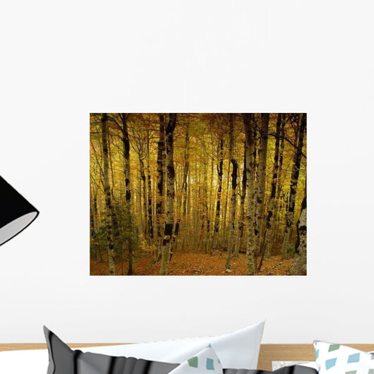 Ordesa National Park Wall Decal Design 2