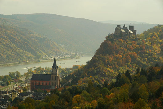 Oberwesel 06 Wall Mural